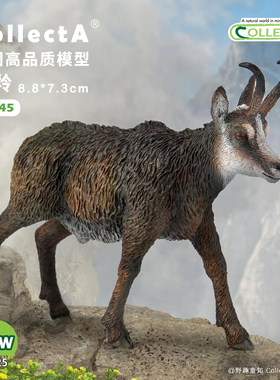 【80045臆羚】2025CollectA仿真动物模型玩具阿尔卑斯精灵