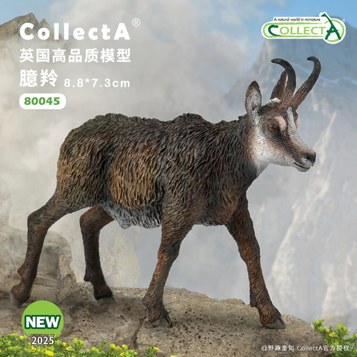 CollectA臆羚动物模型玩具