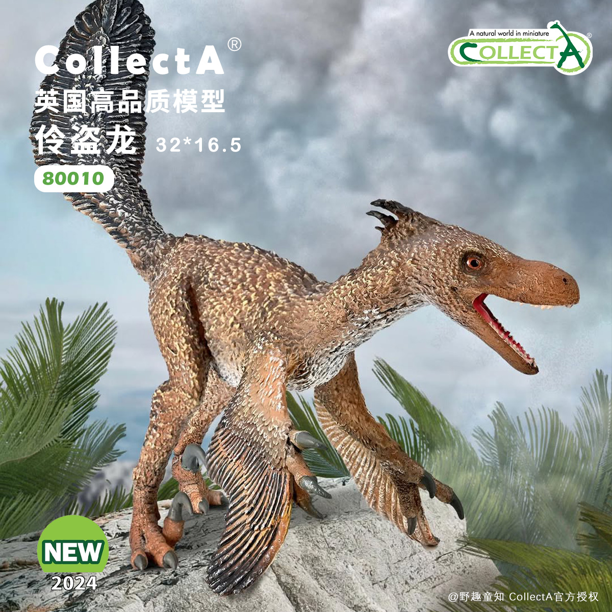 【80010速龙/伶盗龙】英国CollectA豪华系列动物模型迅猛龙