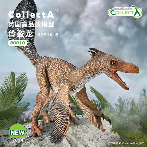 【80010速龙/伶盗龙】英国CollectA豪华系列动物模型迅猛龙