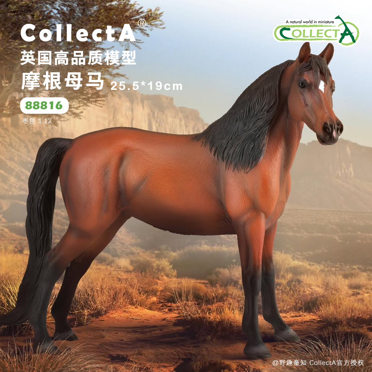 【88813摩根母马 -枣色】2025CollectA仿真动物模型玩具马玩具
