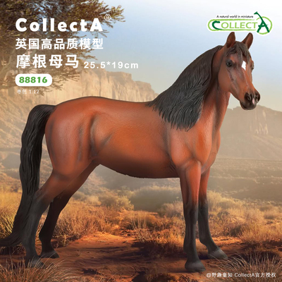【88813摩根母马 -枣色】2025CollectA仿真动物模型玩具马玩具