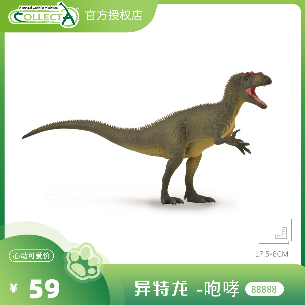 【88888异特龙 -咆哮】CollectA动物模型儿童认知仿真玩具早教