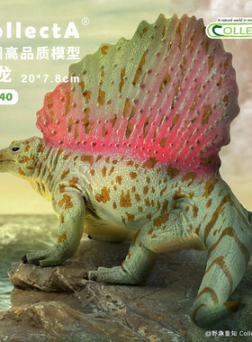 【88840基龙】CollectA动物模型儿童仿真玩具早教礼物宝宝