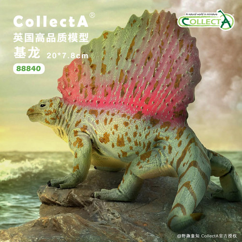 CollectA基龙动物模型玩具