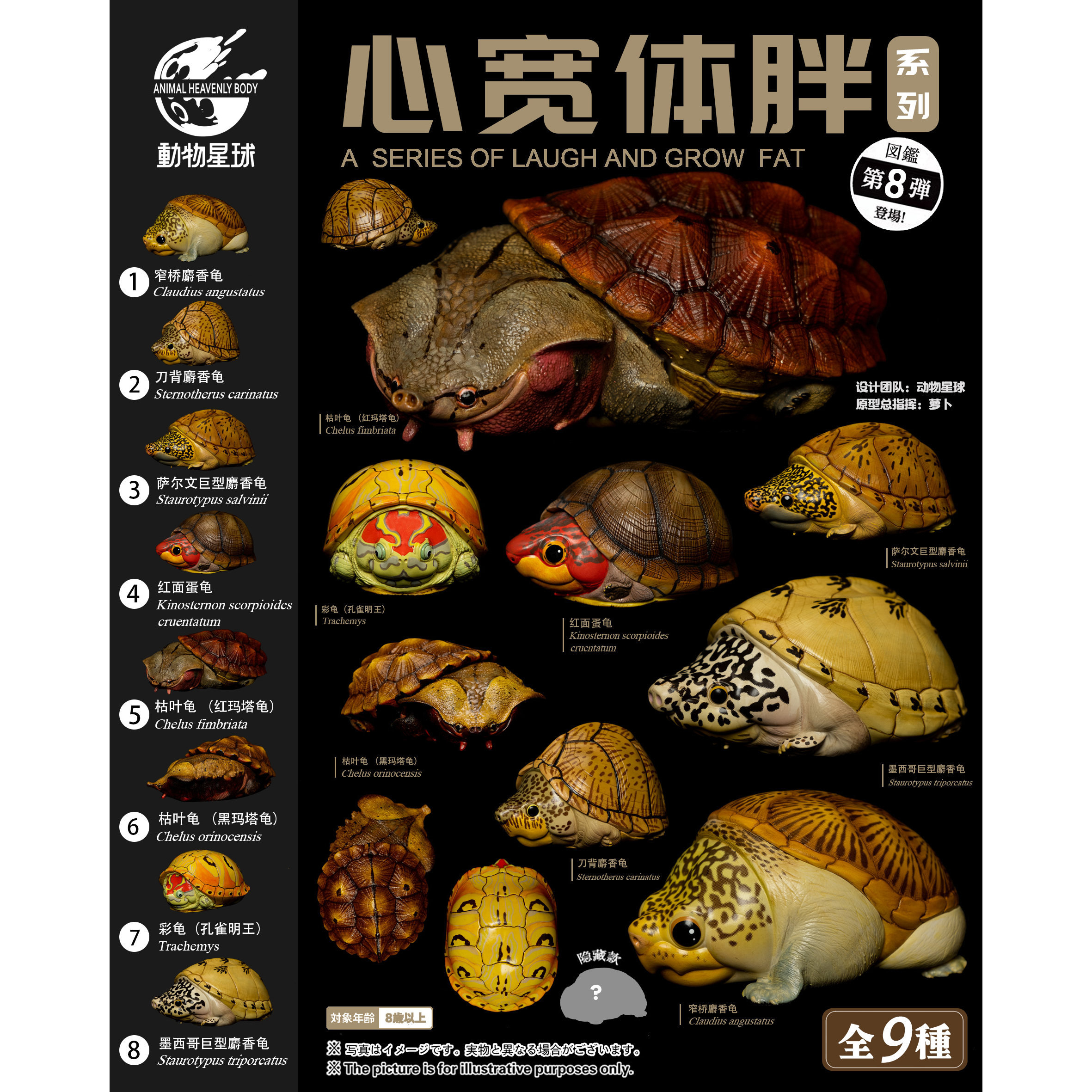 【顺丰包邮】动物星球心宽体胖系列第8弹龟蛋龟高端爬宠手办模型