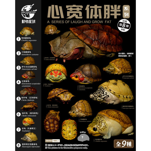 【顺丰包邮】动物星球心宽体胖系列第8弹龟蛋龟高端爬宠手办模型