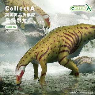 【88810曼特尔龙喝水】CollectA动物模型儿童仿真玩具早教礼物