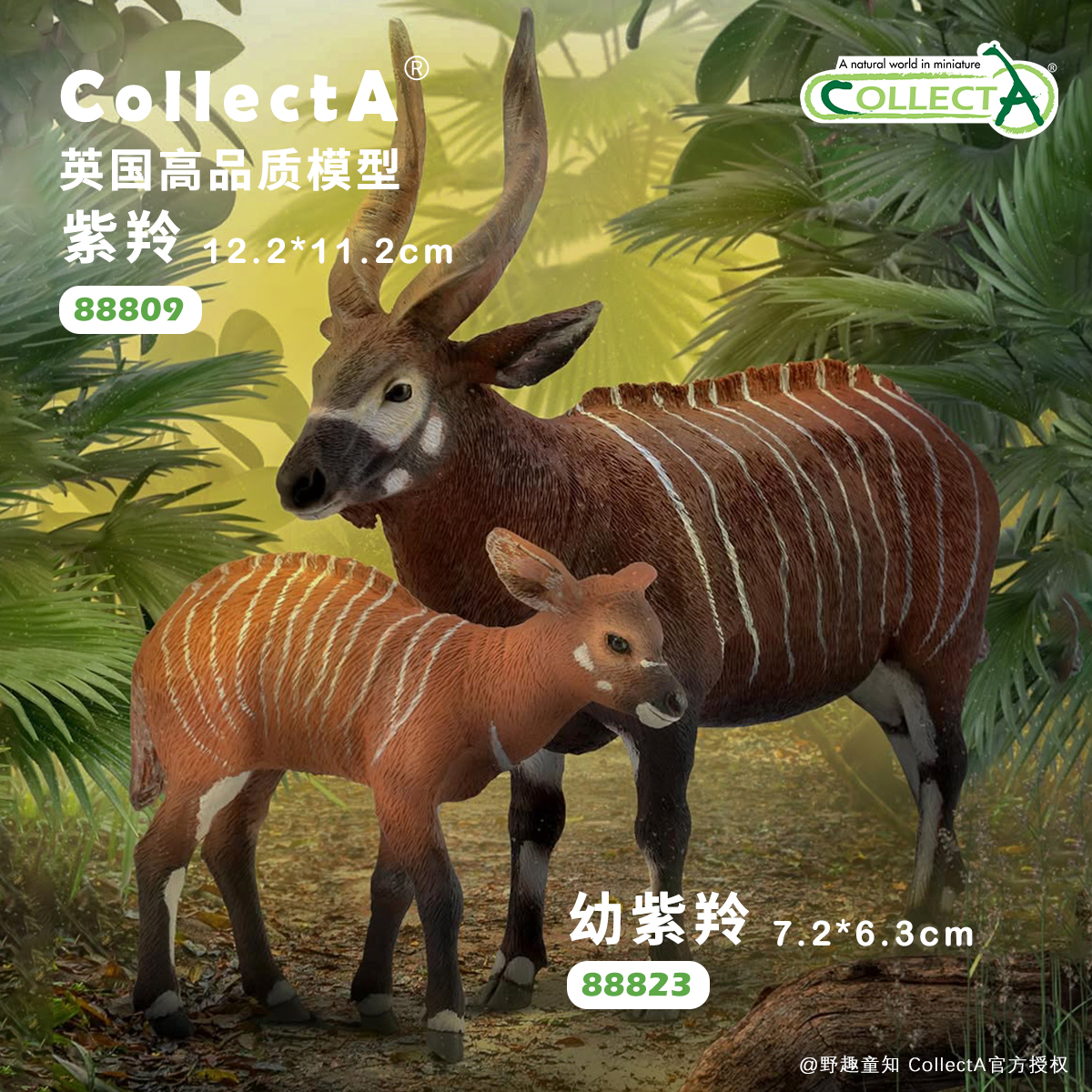 CollectA紫羚动物模型玩具