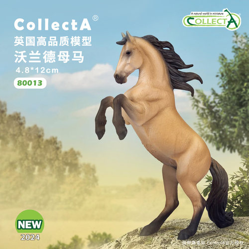 【80013沃兰德母马-鹿皮色】CollectA官方授权正版动物模型