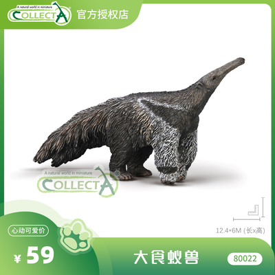 【80022大食蚁兽】CollectA官方授权正版动物模型早教玩具