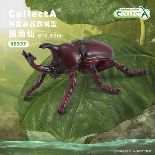 【88337独角仙】CollectA官方授权正版动物模型早教玩具昆虫甲虫