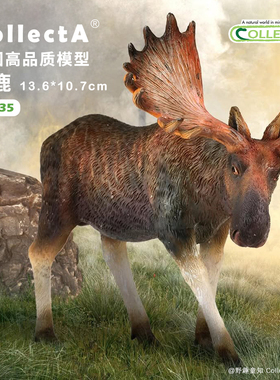 【88335驼鹿】CollectA官方授权正版动物模型早教玩具