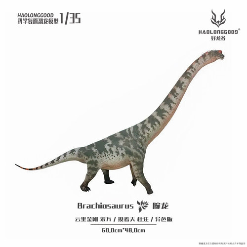 好龙谷【1:35腕龙】侏罗纪恐龙模型儿童成人男孩礼物玩具手办