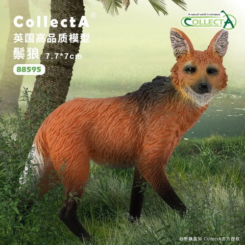 CollectA鬃狼动物模型玩具