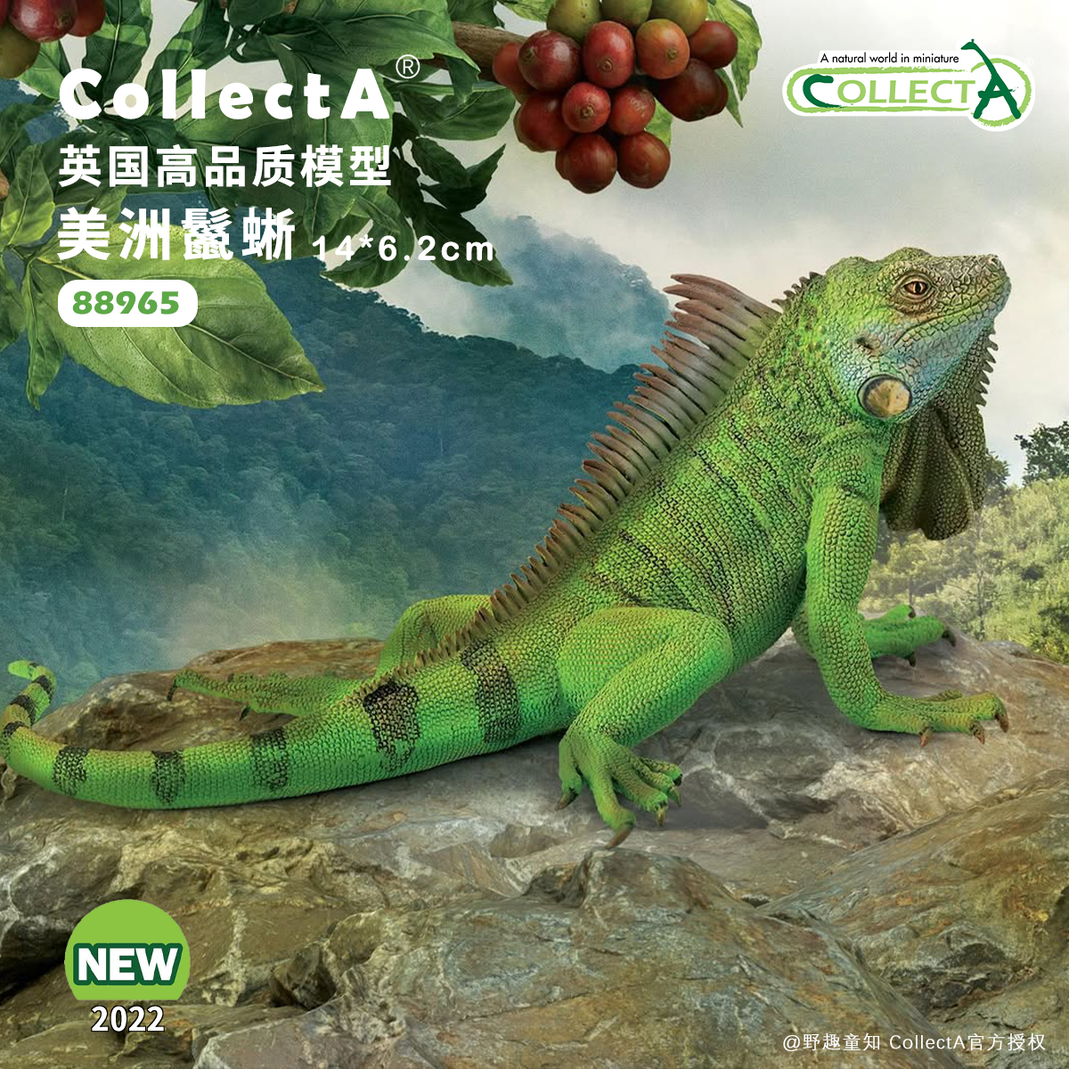 CollectA美洲鬣蜥动物模型玩具