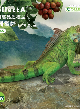 【88965美洲鬣蜥】CollectA官方授权正版动物模型早教玩具