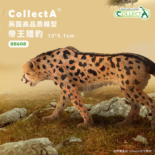 【88608帝王猎豹】CollectA官方授权正版动物模型早教玩具
