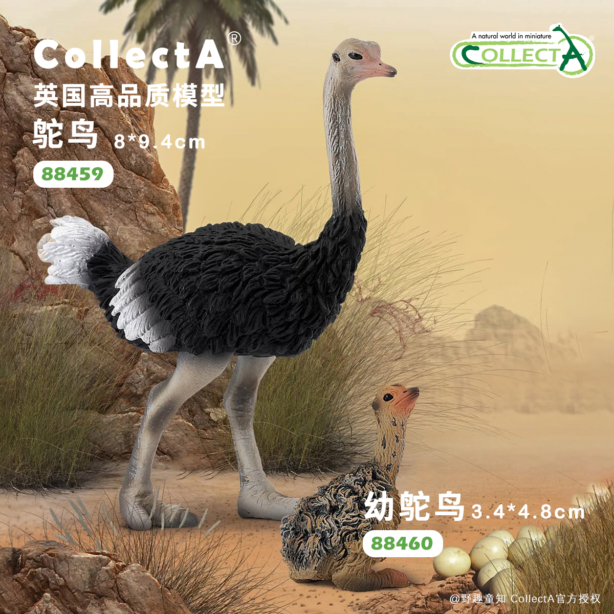 CollectA鸵鸟动物模型玩具