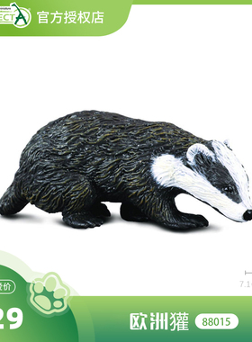 【88015欧洲獾】CollectA官方授权正版动物模型