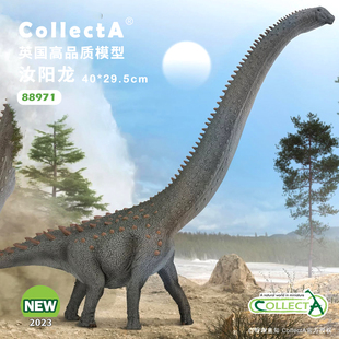 【88971汝阳龙1:100 】英国CollectA我你他豪华系列动物模型