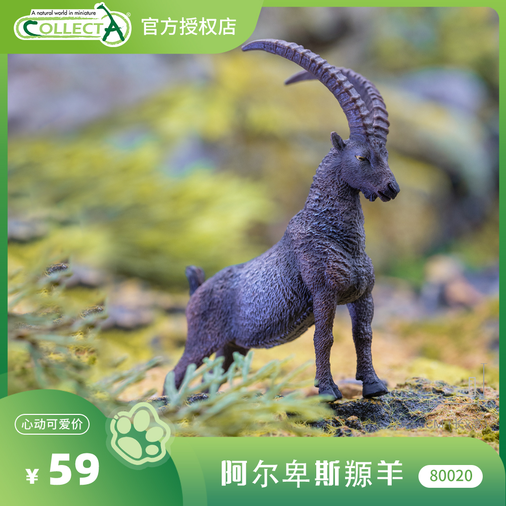 【80020阿尔卑斯羱羊】CollectA官方授权正版动物模型早教玩具