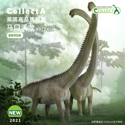 【88908马门溪龙-1:100】英国CollectA豪华系列动物模型