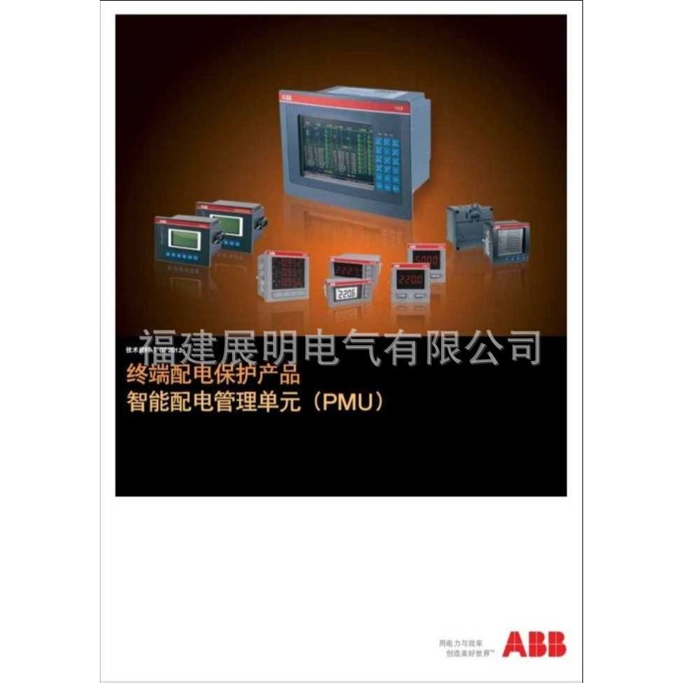 FTM21-4A245A 振棒式料位开关 E+H