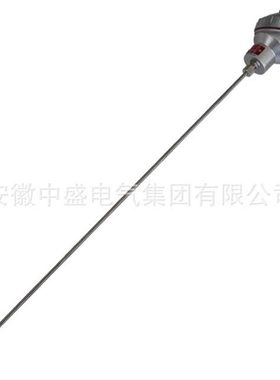 WRE2-330-F双支耐腐型热电偶