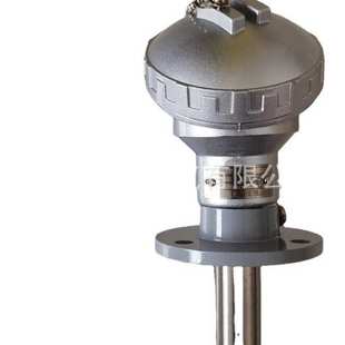 热电阻WZP 铂热电阻 330活动法兰安装