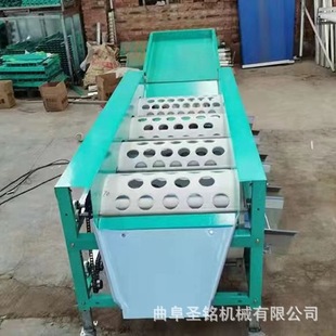 小龙虾海鲜类分拣机 果蔬分拣机 商用柑橘蓝莓选果分选机 轨道式