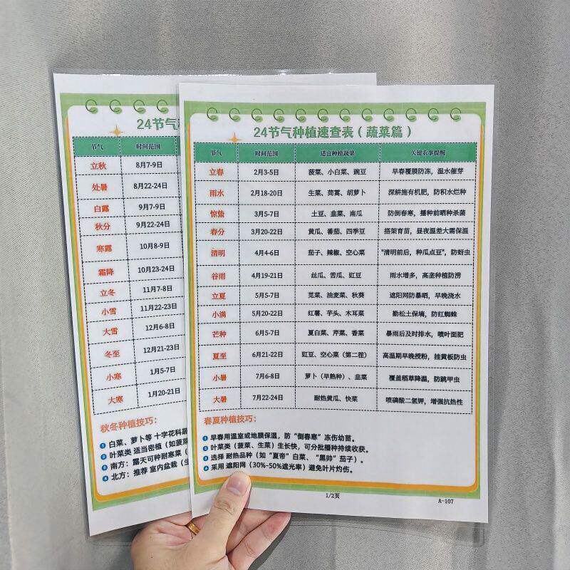 24节气种植速查表蔬菜篇+蔬菜种植时间表A4防水塑封挂图认知卡