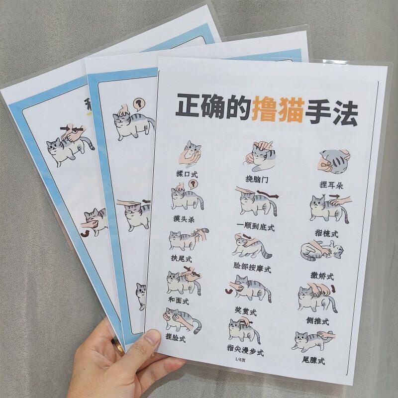 正确撸猫手法养猫训猫注意事项指南宠物训练撸猫须知A4挂图认知卡