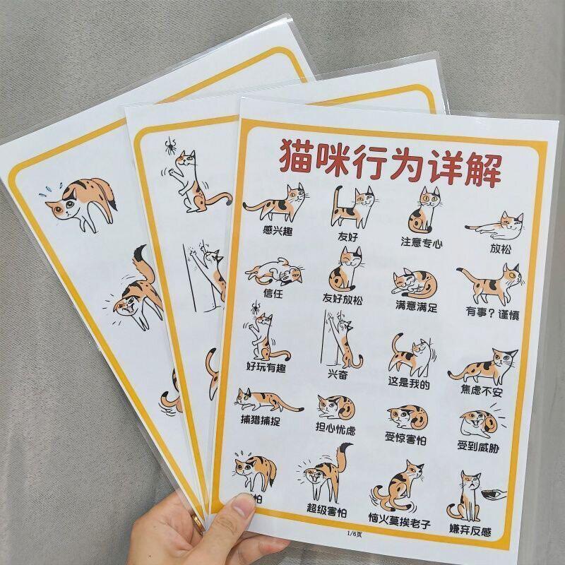 猫咪行为详解新手养猫训猫基础常识猫咪行为指南挂图认知卡