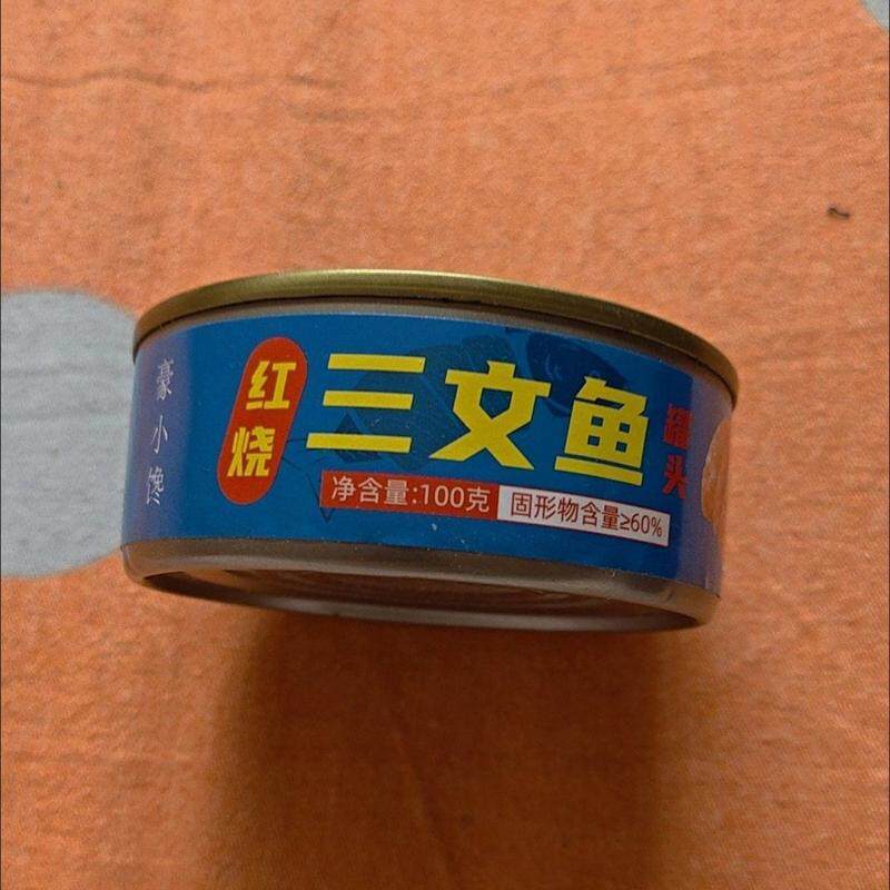 三文鱼罐头红烧新鲜即食罐装下饭菜肉制品