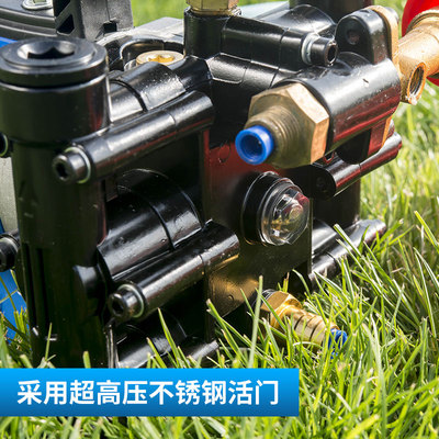 手提式打药机农用电动果树喷雾器12V48V60VM220伏高压双缸柱塞药