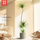 仿真绿植千年木室内盆栽大型仿生植物假I树轻奢客厅龙血树落地摆