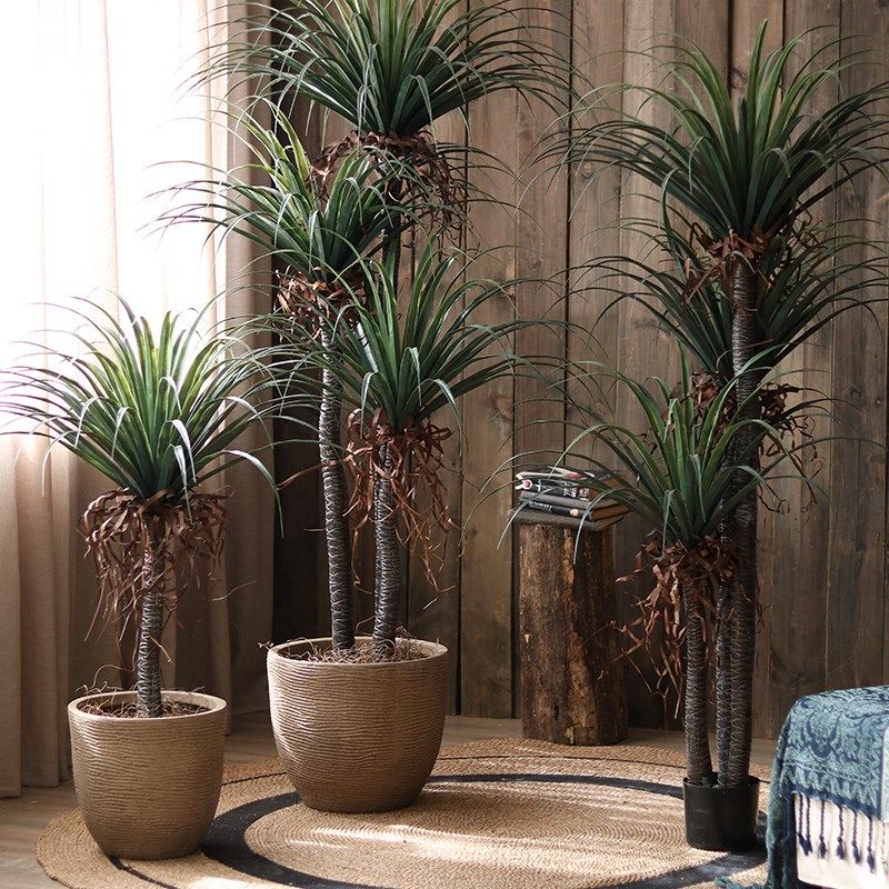 龙血树仿真绿植装饰盆景大型仿生假树植物N盆栽室内酒店橱窗摆件,家居饰品,仿真植物盆景,淘宝优惠券,粉丝福利购,淘宝优惠卷