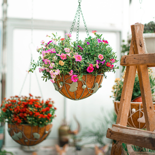 铁艺椰棕吊篮花h盆两件套悬挂式花架多肉绿萝园艺吊盆阳台庭院装