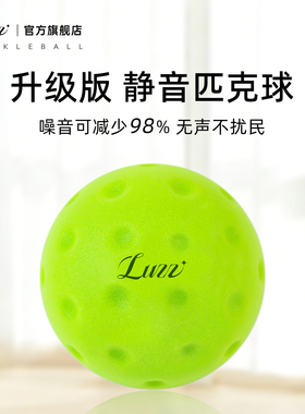 Luzz路兹室内静音匹克球专业比赛洞洞球泡菜球运动训练无声不扰民