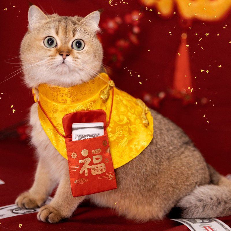 月饼喵猫咪新年衣服新春中国风过年春节红包披风领结唐装衣服图片