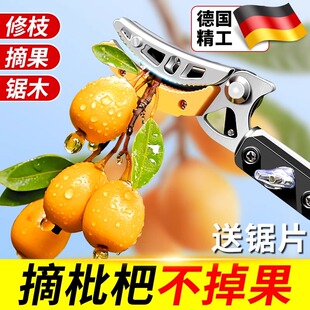 摘枇杷神器伸缩杆高空采摘水果子荔枝龙眼樱桃杨梅新款高枝剪刀头