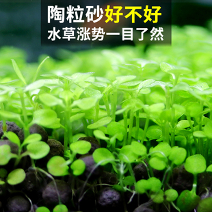 鱼缸陶粒砂底砂水族10斤黑色水草泥基肥红色陶粒砂造景底沙水藻泥