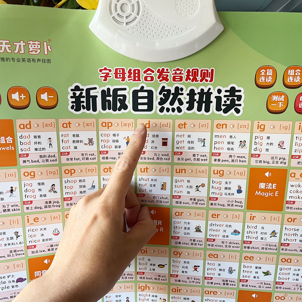 字母自然拼读发音挂图有声挂图点读玩具英语启蒙学习玩具启蒙早教