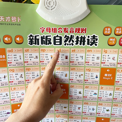 天才萝卜英语启蒙自然拼读挂图