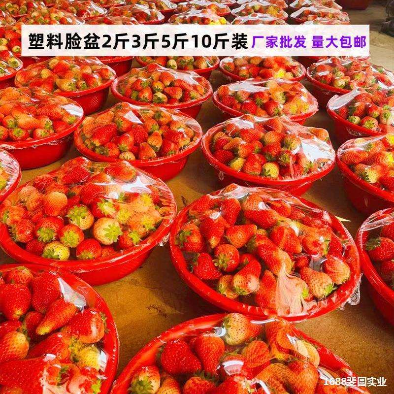 塑料脸盆2斤装3斤装5斤装10斤装草莓脸盆水果脸盆草莓盆小号红色