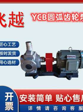 不锈钢圆弧齿轮泵YCB20/0.6 低噪音输送管道自吸泵 飞越泵业