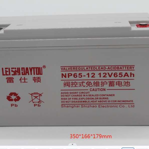 雷仕顿蓄电池 NP65-12/12V65AHups电源eps电源 铅酸蓄电池