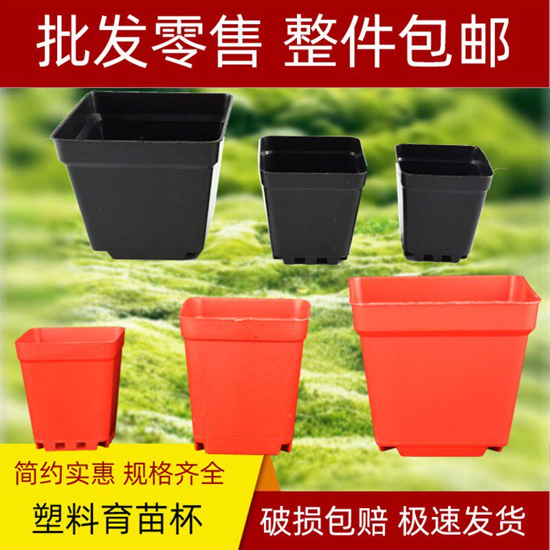 方型育苗杯塑料花盆瓶方型营养杯钵园艺盆栽绿P植育苗培植专用红