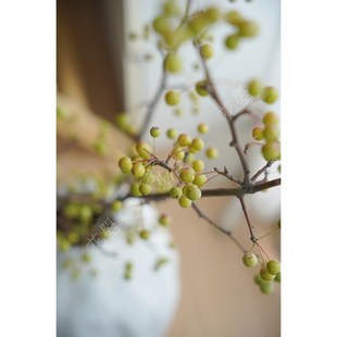 花曌 大枝海棠梨果鲜切枝条果y实插花家居瓶插花落地水养鲜花真果